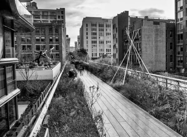 High Line Zimą Manhattanie Ludzie Ruchu Niewyraźny Widok Długa Ekspozycja — Zdjęcie stockowe