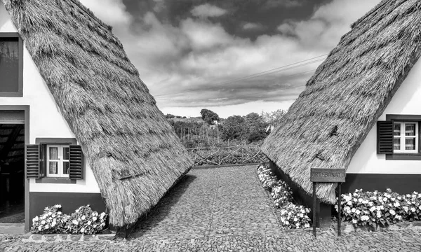 Die Ländliche Traditionelle Hauslandschaft Der Insel Madeira Portugal Stadt Santana — Stockfoto