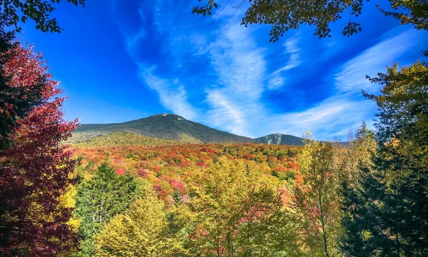 Colores Temporada Follaje Montaña Bosque Árboles Otoñales —  Fotos de Stock