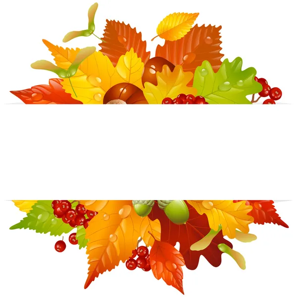 Cornice autunnale con foglia autunnale — Vettoriale Stock