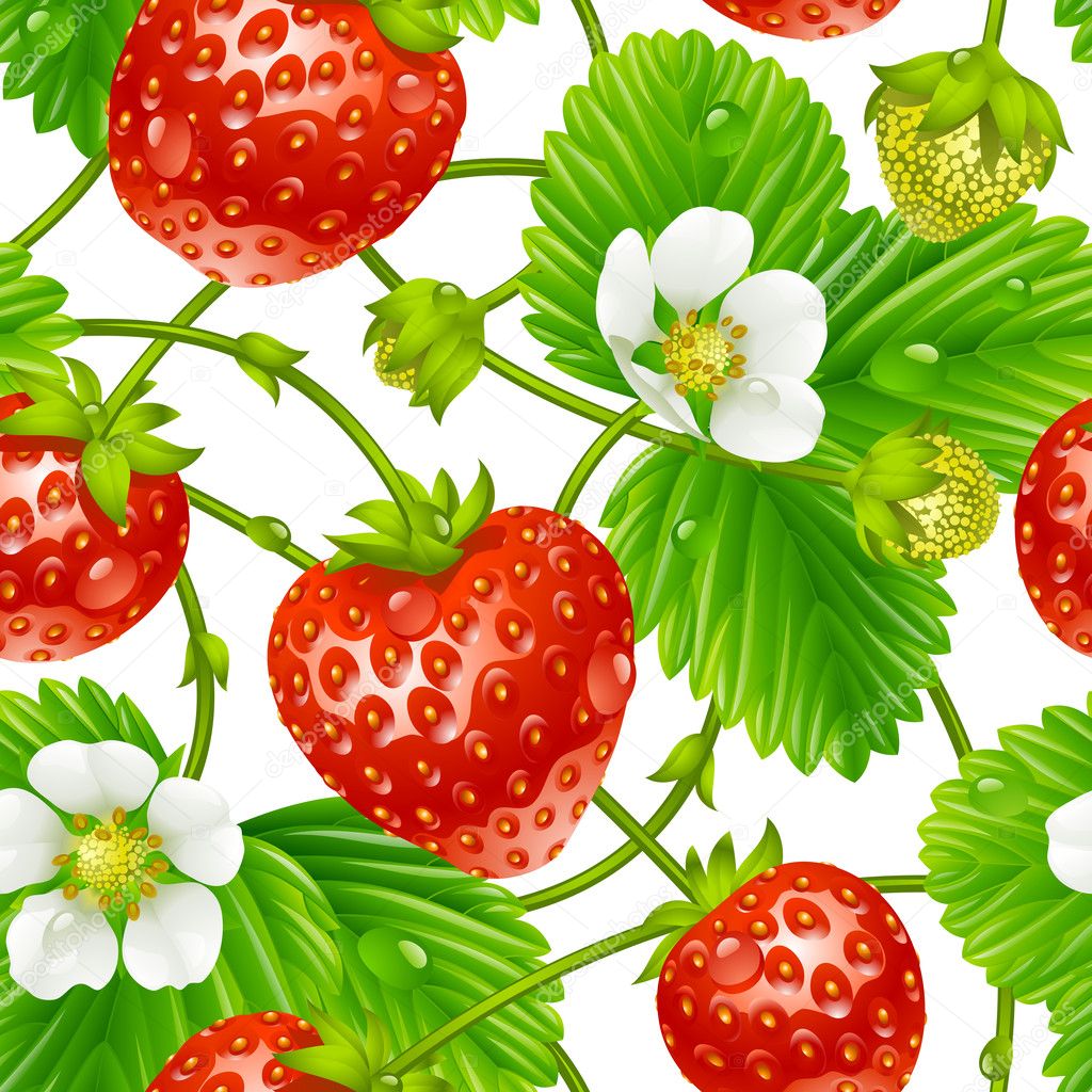 Vector strawberry seamless pattern isolated on white background