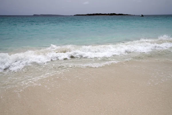 Vaiere som krasjer på stranden – stockfoto