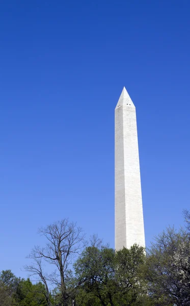 华盛顿纪念碑在华盛顿特区. — 图库照片