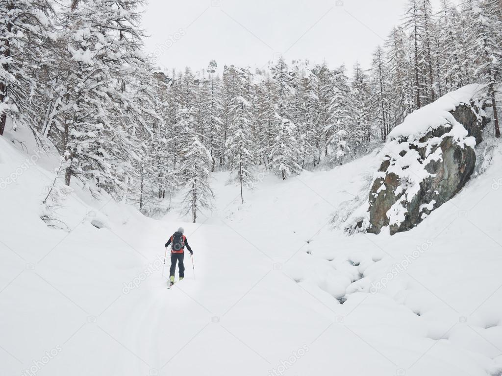 Backcountry skier walking in a snowy mountain forest.