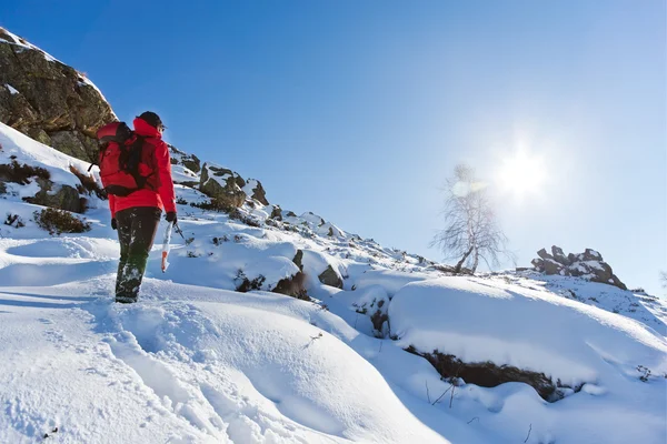 Winterwandern — Stockfoto