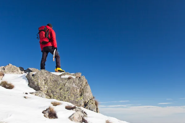 Trekker osserva l'orizzonte — Foto Stock