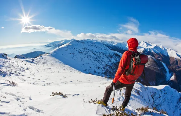 Mountaineer enquanto observa um panorama de montanha . — Fotografia de Stock