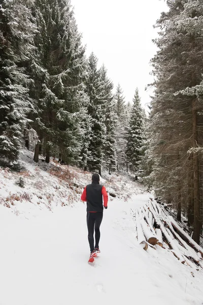 Sentiero invernale — Foto Stock