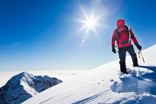 Mountaineer når toppen av en snöig berg i en solig winte Royaltyfria Stockbilder