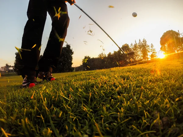 Čip v golfu — Stock fotografie