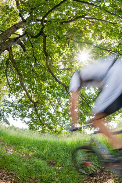 Cyclist in blurred motion riding a bike in a forest