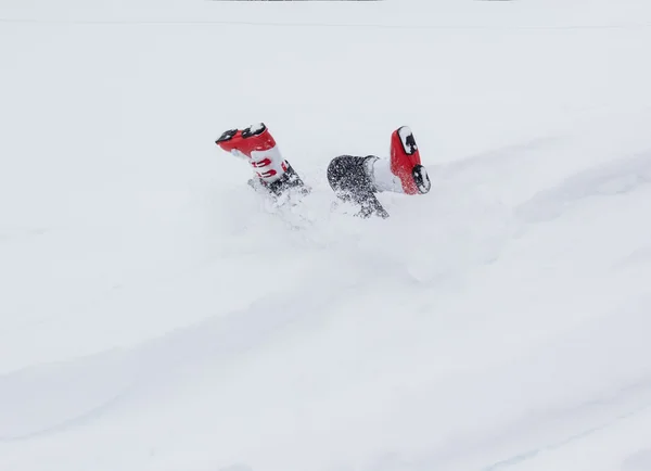 Karda iyi eğlenceler — Stok fotoğraf