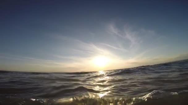 Κολύμπι στη θάλασσα στο ηλιοβασίλεμα. — Αρχείο Βίντεο