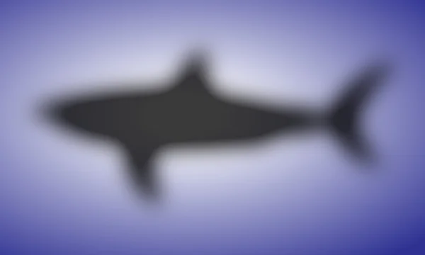 鲨鱼设计 — 图库矢量图片