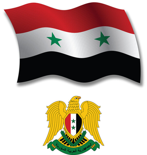 syria textured wavy flag vector