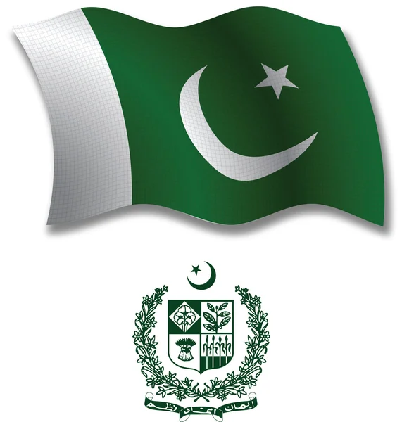 Pakistan textured wavy flag vector — Stock Vector