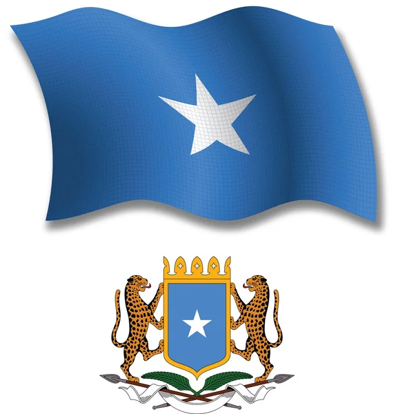 ソマリア テクスチャ波状フラグ ベクトル — ストックベクタ