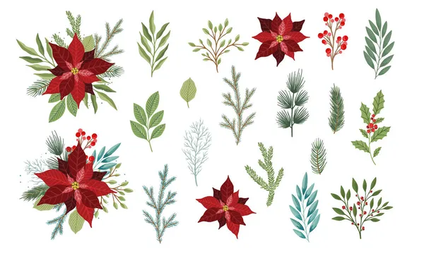 Set van winterplanten, bloemen en bessen. Kan worden gebruikt voor kerst ontwerp. — Stockvector