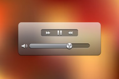 Web cam video oynatıcı