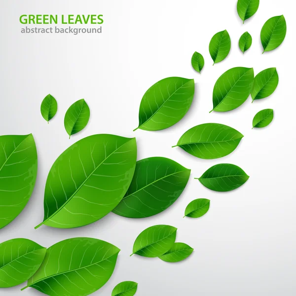 Natur Hintergrund mit grünen frischen Blättern. Vektorillustration. — Stockvektor