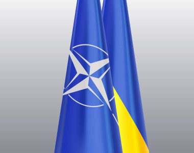 Ukrayna ve NATO, saldırganlığa karşı birlikte bayrak sallıyor