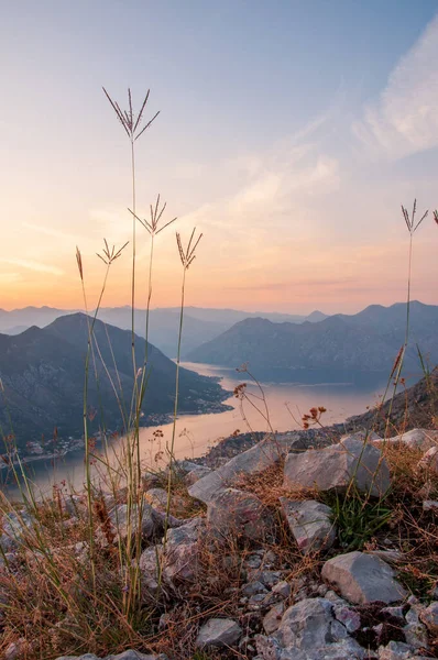 Boka Kotorska Vista Desde Las Montañas Kotor Montenegro —  Fotos de Stock