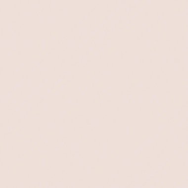 Kural 162 İlköğretim Hücresel Otomaton Rastgele Tohum Örnek Uygulaması