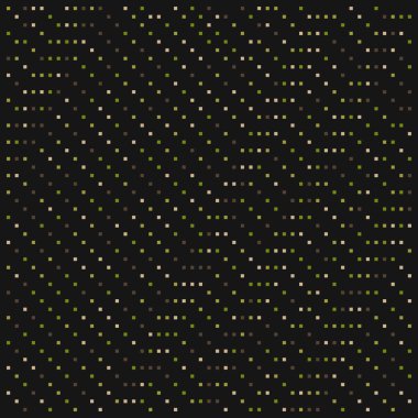 Kural 49 İlköğretim Hücresel Otomaton Rastgele Tohum Örnek Uygulaması