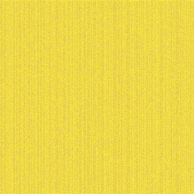 Kural 217 İlköğretim Hücresel Otomaton Rastgele Tohum Örnek Uygulaması