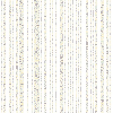 Kural 204 Komşuları 3 İlköğretim Hücresel Otomaton Rastgele tohum Örnek Uygulaması