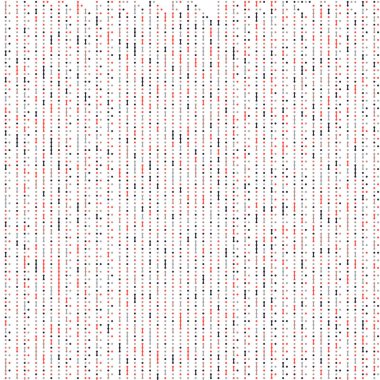 Kural 28 Komşuları 3 İlköğretim Hücresel Otomaton Rastgele tohum Örnek Uygulaması