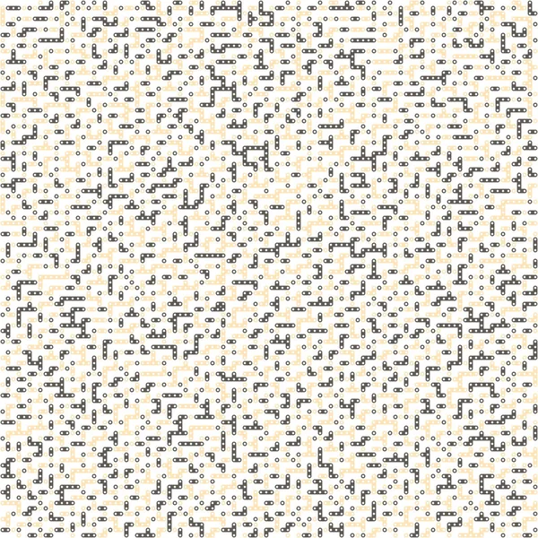 Kural 111 Komşuları 3 İlköğretim Hücresel Otomaton Rastgele tohum Örnek Uygulaması