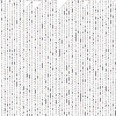 Kural 70 Komşuları 3 İlköğretim Hücresel Otomaton Rastgele tohum Örnek Uygulaması