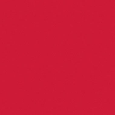 Kural 53 İlköğretim Hücresel Otomaton Rastgele Tohum Örnek Uygulaması