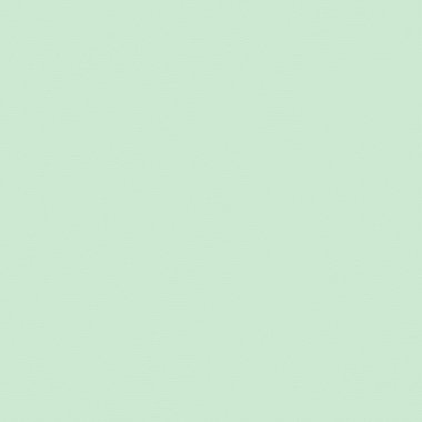 Kural 53 İlköğretim Hücresel Otomaton Rastgele Tohum Örnek Uygulaması