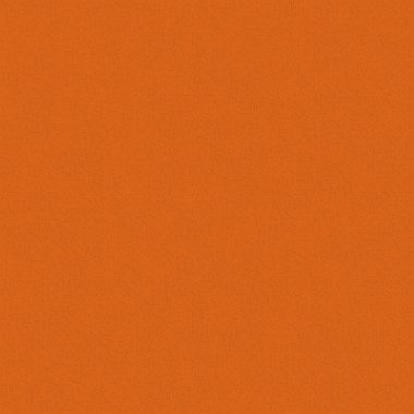 Kural 89 İlköğretim Hücresel Otomaton Rastgele Tohum Örnek Uygulaması