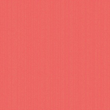 Kural 206 İlköğretim Hücresel Otomaton Rastgele Tohum Örnek Uygulaması