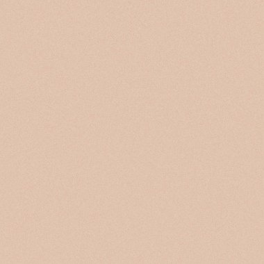 Kural 213 İlköğretim Hücresel Otomaton Rastgele Tohum Örnek Uygulaması