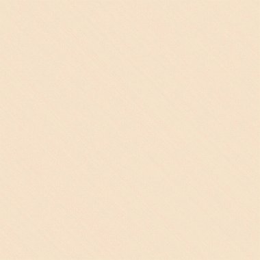 Kural 243 İlköğretim Hücresel Otomaton Rastgele Tohum Örnek Uygulaması