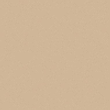 Kural 18 İlköğretim Hücresel Otomaton Rastgele tohum Örnek Uygulaması