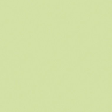 Kural 155 İlköğretim Hücresel Otomaton Rastgele Tohum Örnek Uygulaması