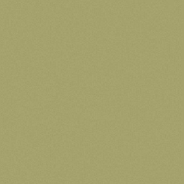 Kural 28 İlköğretim Hücresel Otomaton Rastgele Tohum Örnek Uygulaması