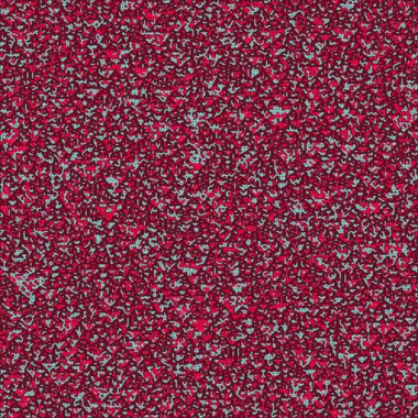 Kural 165 Komşuları 3 İlköğretim Hücresel Otomaton Rastgele tohum Örnek Uygulaması