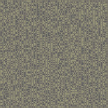 Kural 29 İlköğretim Hücresel Otomaton Rastgele Tohum Örnek Uygulaması