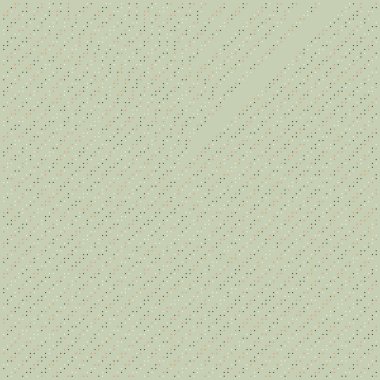 Kural 14 İlköğretim Hücresel Otomaton Rastgele tohum Örnek Uygulaması