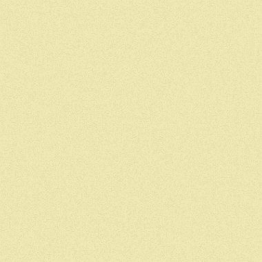 Kural 55 İlköğretim Hücresel Otomaton Rastgele Tohum Örnek Uygulaması