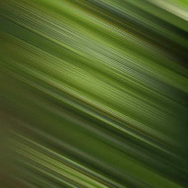 Color flix intro animation style illustration