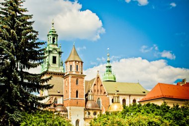 Saint stanislas Katedrali, wawel Kalesi