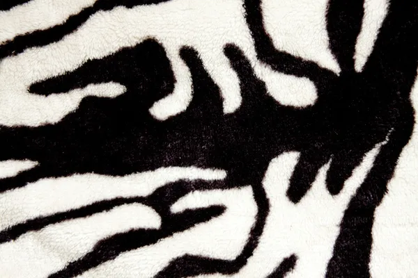 Siyah ve beyaz zebra dokusu — Stok fotoğraf
