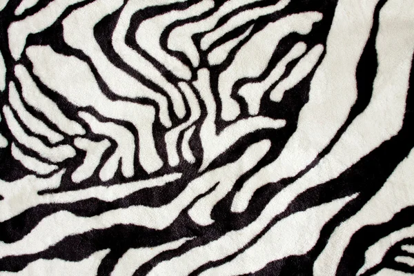 黑白斑马质感 — 图库照片